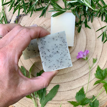 Load image into Gallery viewer, Herb Garden Soap Collection