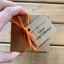 Load image into Gallery viewer, Citrus Soap Collection