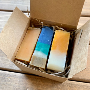 Citrus Soap Collection