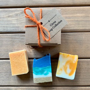 Citrus Soap Collection