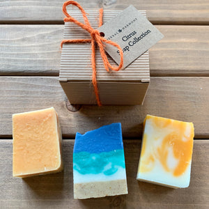 Citrus Soap Collection